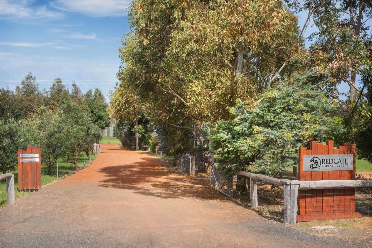 Redgate Forest Retreat Witchcliffe Luaran gambar