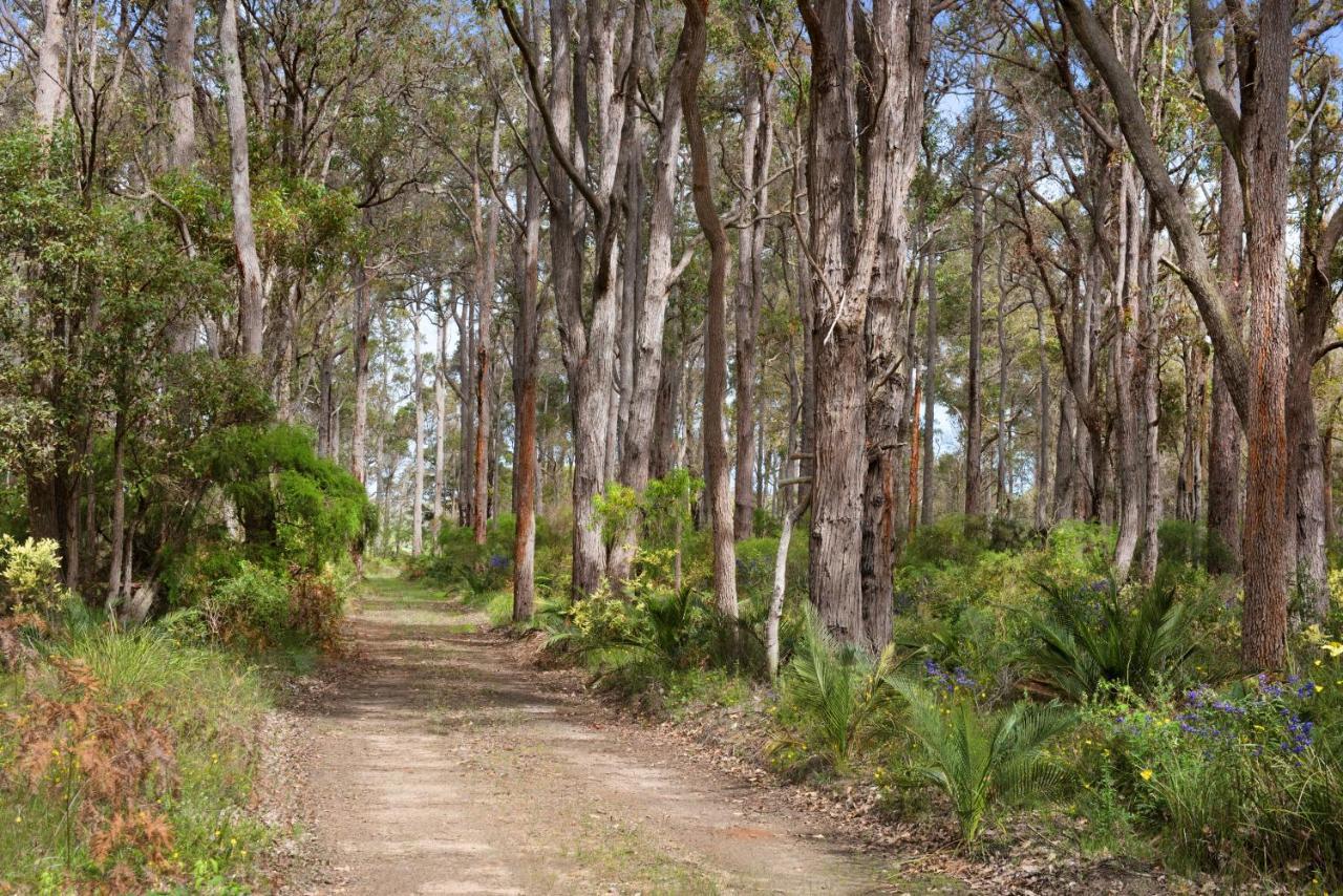 Redgate Forest Retreat Witchcliffe Luaran gambar