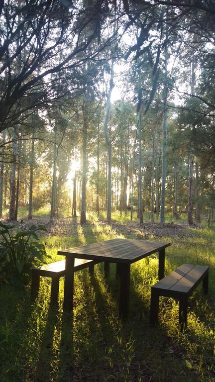 Redgate Forest Retreat Witchcliffe Luaran gambar